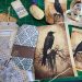crow journal
